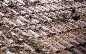 Marros roof cleaning companies